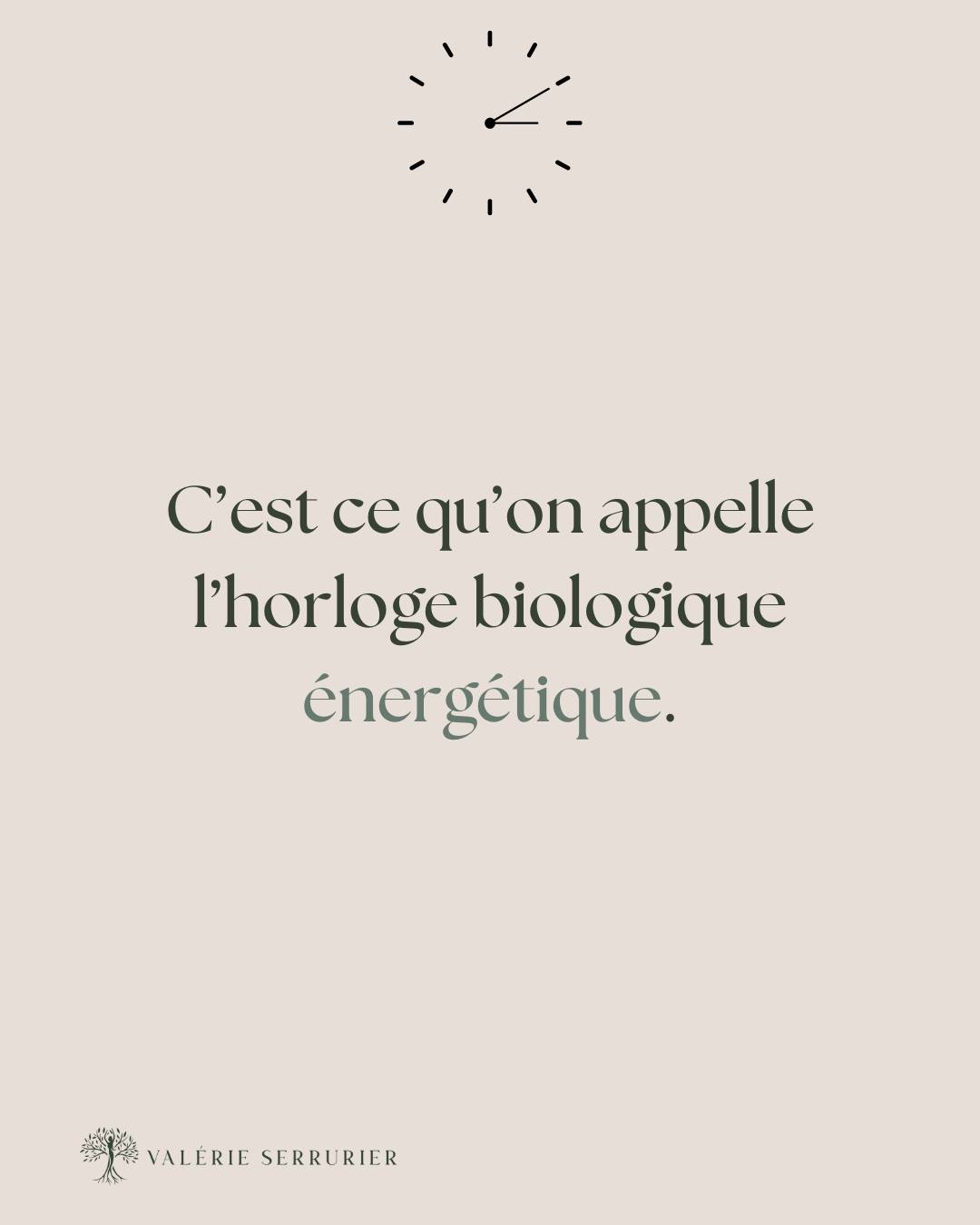 Vous vous réveillez toujours à la même heure la nuit ? Ou vous sentez vidé.e chaque jour à la même heure ?
Selon la médecine chinoise, chaque organe a sa propre plage horaire où il est à son pic d’activité.
Quand tout va bien, on ne sent rien. Mais si un organe est débordé… il se manifeste : fatigue, réveils nocturnes, émotions soudaines…
Et si ce n’était pas « juste le hasard » ?
Votre corps a une horloge. Il parle. À nous d’écouter.
Vous vous reconnaissez ? Il est peut-être temps d’aller voir ce que ça cache, et de libérer ce qui a besoin de bouger.
Une séance de kinésiologie permet d'explorer et de rééquilibrer ces tensions en douceur
#kinésiologie #gestiondustress #renouveau #humourbienêtre #equilibrecorpsesprit #bienêtre #équilibre