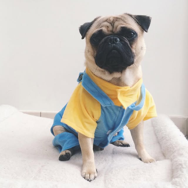 Foto auf Instagram