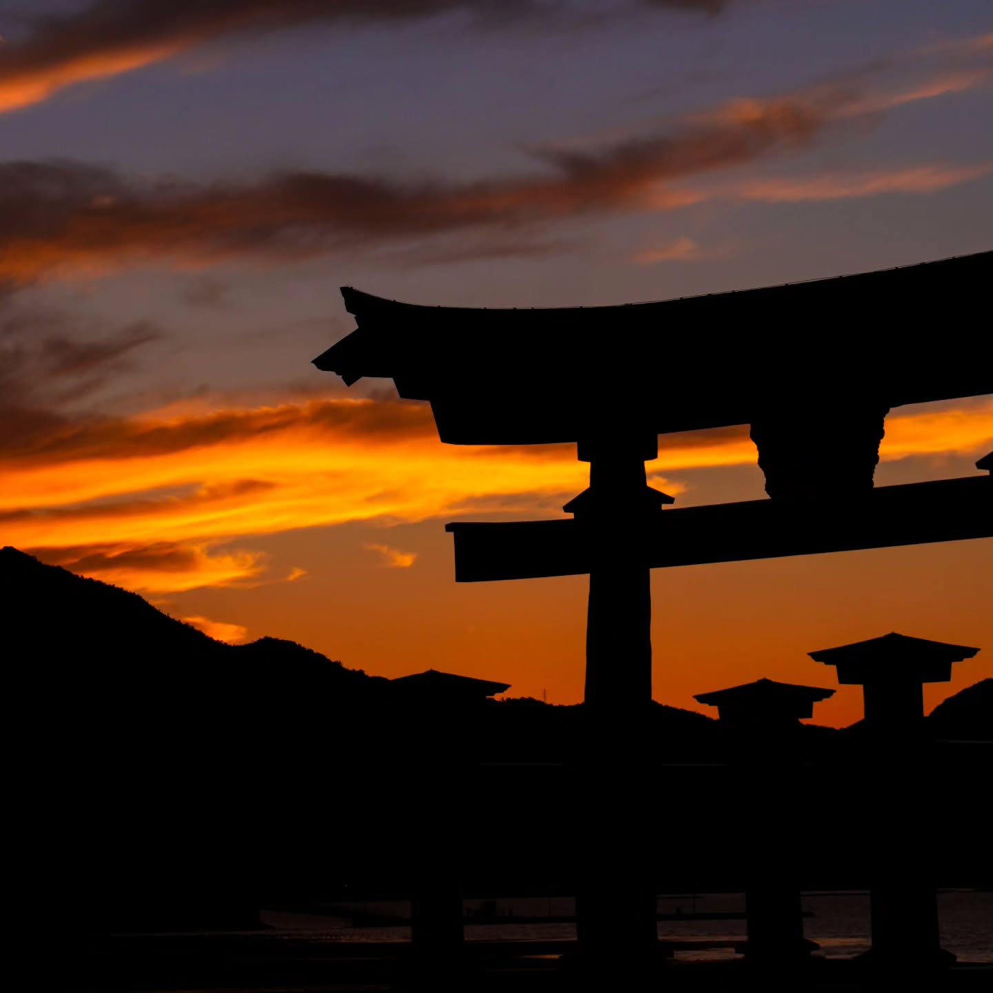AFTER TDM, DAY 265 🇯🇵
Et une petite dernière du Japon : le sunset sur le magnifique torii géant de l'île de Miyajima ⛩️
Ce retour au Japon m'a fait un bien de fou, j'en rêvais tellement... Ce pays est si spécial à mes yeux. Et comme on dit : jamais 2 sans 3 ! Il y aura donc une prochaine fois au Japon c'est certain. La question c'est plutôt quand 😁
À présent, il est temps de faire la rétrospective de notre avant-dernier pays de tour du monde : la Nouvelle-Zélande 🇳🇿
Hâte de vous montrer ça 🤩
📍 Miyajima - Japon
#miyajima #japon #japan #pacifique #visitjapan #sunset #tdm #tourdumonde #worldtour #voyage #travel #travelgram #traveltheworld #globetrotter #lolitaexplore #lolitaontheroad