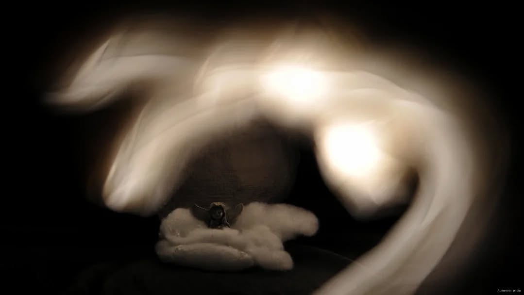 #photographies #photographyart #photoshoot #darkart #dark #darkartist #darknesss #lightpainting #lightart #nightmare #cauchemar #bnw