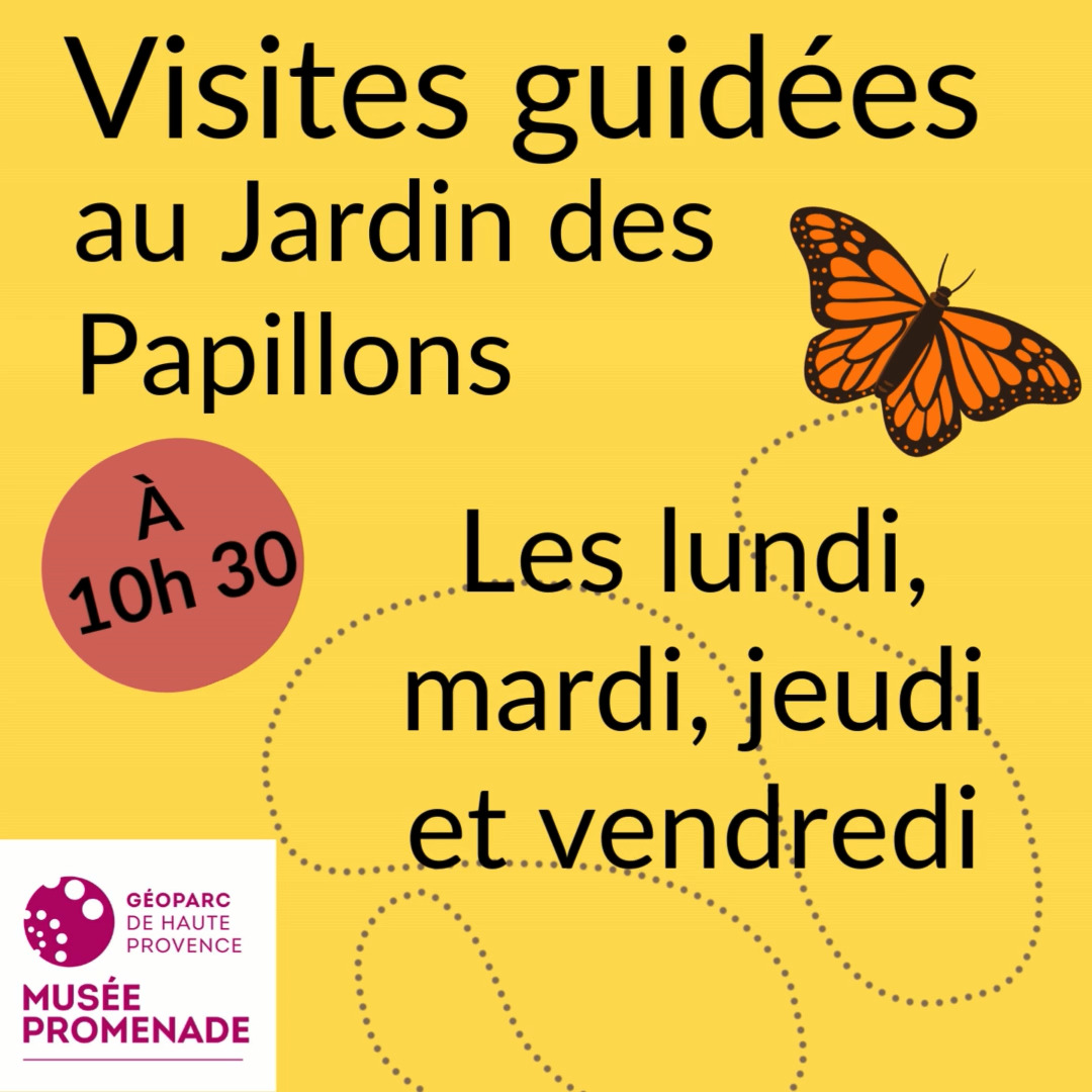L'été indien offre encore l'occasion de profiter d…
