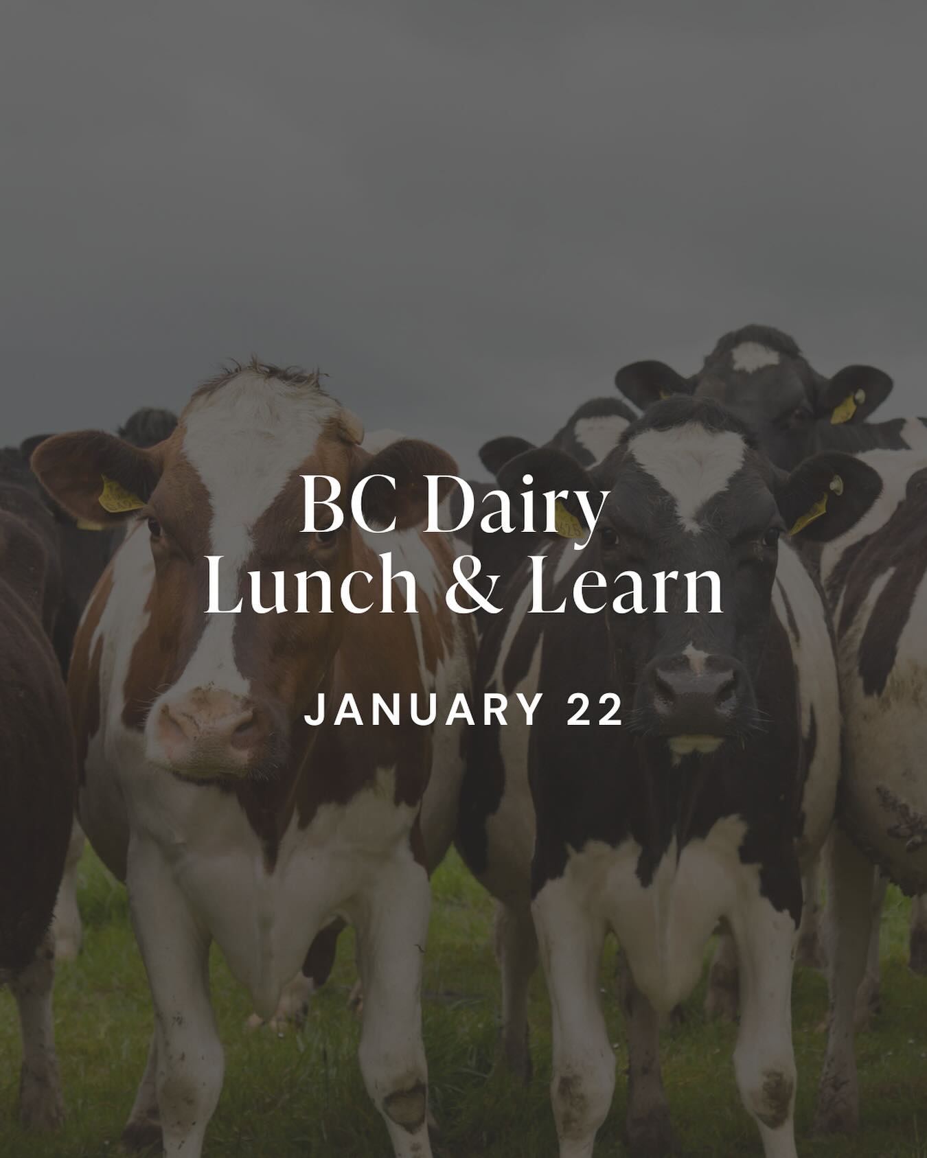 BC Dairy Lunch & Learn 📣
Join leaders in the industry for this annual event! Head to the link in our bio to register.
🐄 Join AgSafeBC regarding practical strategies to enhance on-farm safety and compliance
🐄 Explore cutting-edge genetic research with KPU’s Applied Genomics Centre
🐄 Dive into on-farm best management practices with the BC Dairy Living Lab team exploring greenhouse gas mitigation and increased soil carbon sequestration, demonstrated through on-farm adoption of current BMPs
🐄 Enjoy a complimentary buffet lunch sponsored by Farm Credit Canada while connecting with industry peers and gaining actionable knowledge
🐄 Have your name entered into a giveaway prize draw sponsored by Pacific Forage
Date: Thursday, January 22
Time: 11:00 am – 2:00 pm
Where: FCC Lounge, Tradex, Abbotsford
#abbotsford #bcdairy #lunchandlearn #pacagshow #pas2026 #dairyfarmers #dairyfarmer
