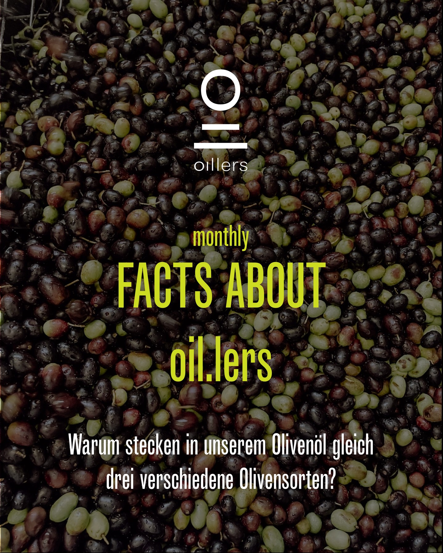 Unser Oil.lers Olivenöl vereint drei charakterstarke Oliven – jede mit ihrer eigenen Note, gemeinsam perfekt abgestimmt.
🌿 Leccino
mild & elegant
Aromen von grünen Mandeln, frischem Gras und Artischocke
→ sorgt für den sanften Einstieg
🌿 Frantoio
kräftig & strukturiert
intensive Mandelaromen, ausgewogene Bitterkeit & Schärfe
→ bildet den charaktervollen Körper
🌿 Pendolino
fein pikant
Noten von Mandel, Blattzichorie und schwarzem Pfeffer
→ bringt Spannung & einen lebendigen Abschluss
#Oillers #OlivenölGenuss #ExklusivesOlivenöl #FeinsterGeschmack #ToskanaLiebe #MadeInItaly #ItalienischerGenuss #MediterranesLebensgefühl #GenussMitHerz #Sonnengeküsst #GeschmackDerSeele #FoodLovers #MediterraneKüche #AuthentischerGeschmack #PureQualität #GoldDerToskana