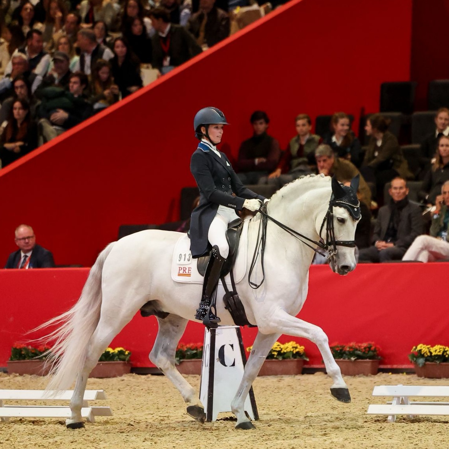 Elegancia, precisión y estilo: @matildaschmecheldressage luciendo nuestros breeches blancos de competición en SICAB.✨
Elegance, precision, and style: @matildaschmecheldressage wearing our white competition breeches at SICAB.✨
📸 @ambracero @twohearts_portrait
#dressage #equestrian #equestrians #sicab #equestrainlife
