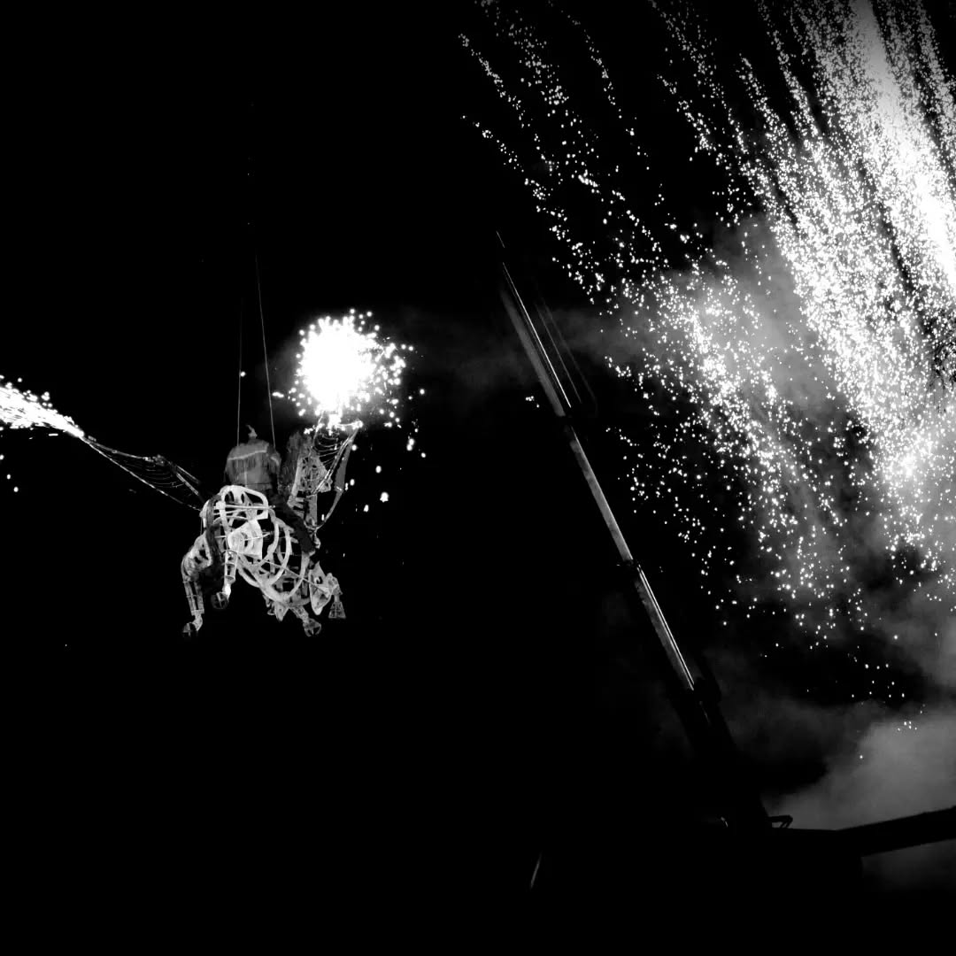 #festivalstamanddecoly #artdelarue #spectaclesvivants #cieakouma #generikvapeur #théâtre #saintamandfaitsoninteressant