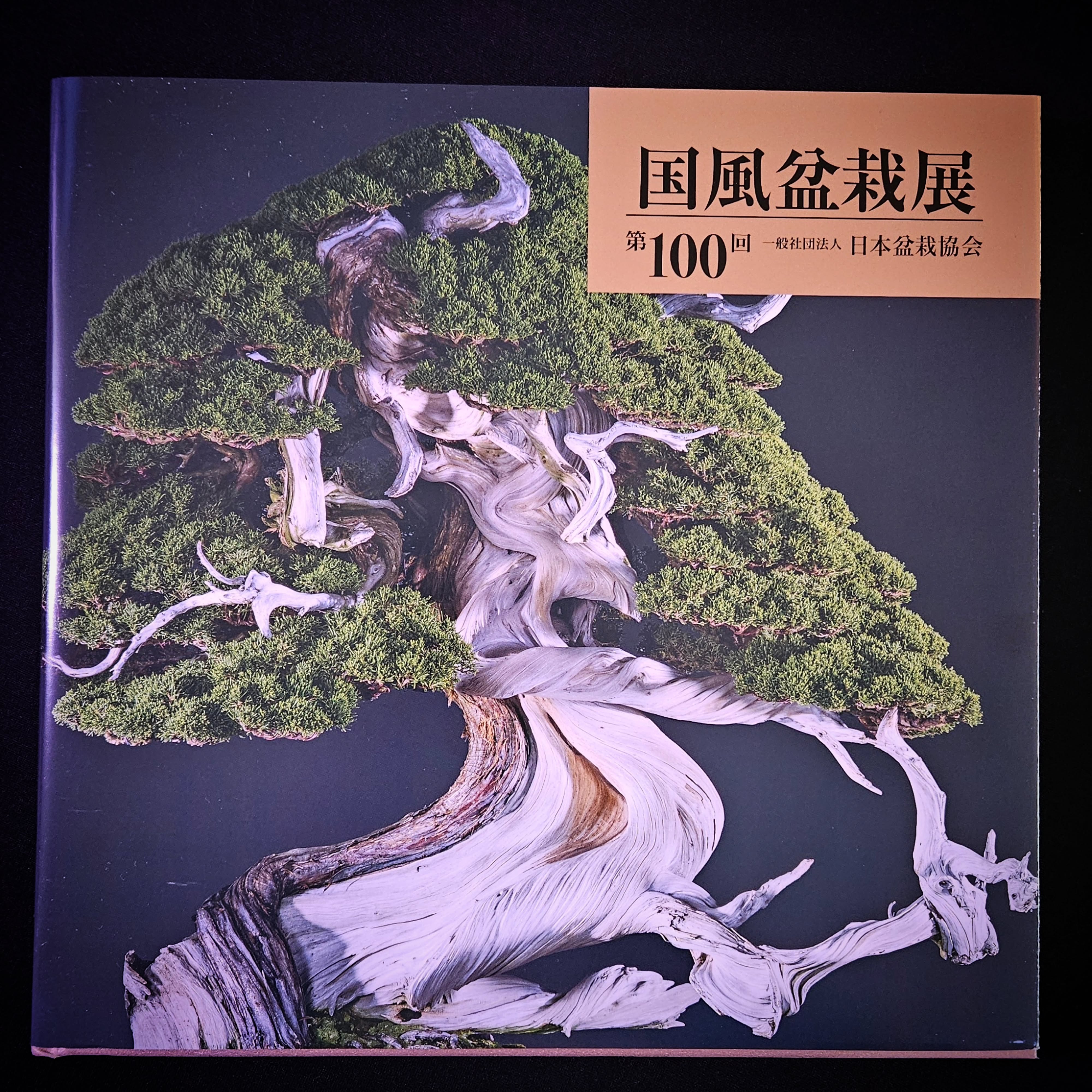 Je viens de recevoir le livre de la 100eme édition de la KOKUFU-TEN. Magnifique. Merci la NIPPON BONSAI ASSOCIATION.