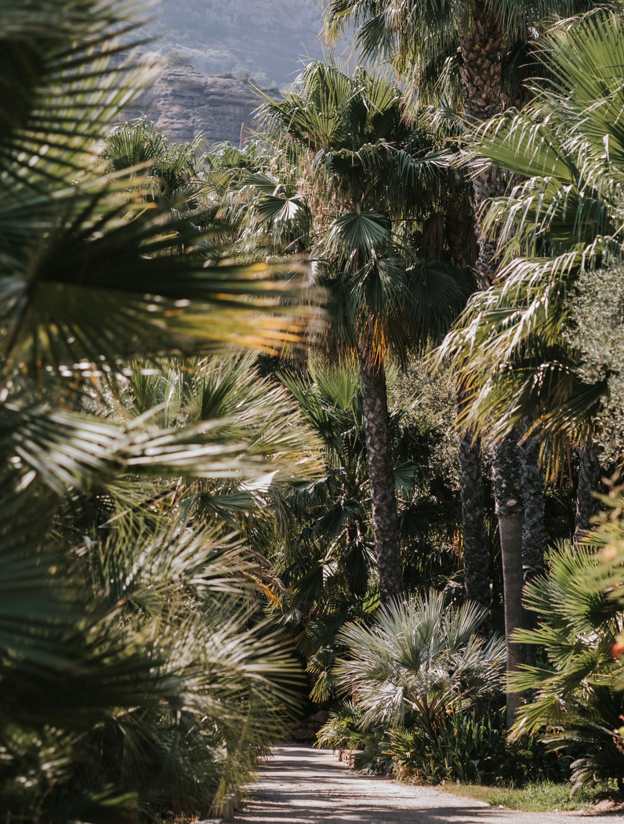 Quand on pense à un mariage en Provence, on imagine souvent des champs de lavande, des oliviers et le chant des cigales. Et puis il y a des lieux qui prennent un malin plaisir à nous faire voyager ailleurs... 🌵🏜️🤠
Martine et François sont venus du Luxembourg pour se marier sous le soleil du Sud. Mais ce jour-là, par moments, on aurait presque oublié où l’on était.
Des terres rouges à perte de vue. Des cactus dressés sous le ciel bleu. Une lumière presque irréelle. Le Tropicana Flore a ce pouvoir étonnant de te faire parcourir des milliers de kilomètres sans quitter la Provence.
Et pour eux, ce décor n’avait rien d’un hasard. Parce qu’il ressemblait à l’endroit où François avait demandé Martine en mariage.
J’avouuuuue (Christophe sort de ce corps ! 😅) que j’adore cette idée ! Choisir un lieu qui raconte déjà quelque chose de votre histoire. Un lieu qui n’est pas seulement beau, mais qui a du sens. Comme un clin d’œil glissé discrètement dans la journée.
Au fil des heures, les invités ont partagé bien plus qu’un mariage. Ils ont embarqué dans un voyage. Entre les éclats de rire, les verres levés sous le soleil et cette atmosphère si particulière, il flottait dans l’air quelque chose de simple et d’évident : la joie d’être ensemble.
Et finalement, les souvenirs les plus forts naissent souvent comme ça. Quand un lieu réveille une émotion. Quand un détail rappelle une histoire. Quand une journée ressemble profondément à ceux qui la vivent.
Et entre nous, se retrouver au beau milieu d’un décor qui évoque l’Ouest américain sans avoir à passer dix heures dans un avion, c’est quand même un joli tour de magie. ✨
.
Vrais mariés : @martini7a & François
Lieu de réception : @tropicana.events
Décoration : @histoirevintage
Photo : @elielle.fr
Vidéo : @renaud_conti
Traiteur : @borges.evenements
Cocktails : @mr.mojitoo
Band : @bmtc.wedding
DJ : @sonorisation_83
Make-up & hair : @nelcreativite
Robe : @galialahav
Shoes : @christianlouboutin @hermes
.
#destinationwedding #mariageencalifornie #photographemariage #tropicanaflore